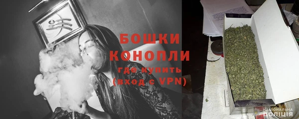 Альфа ПВП Бородино