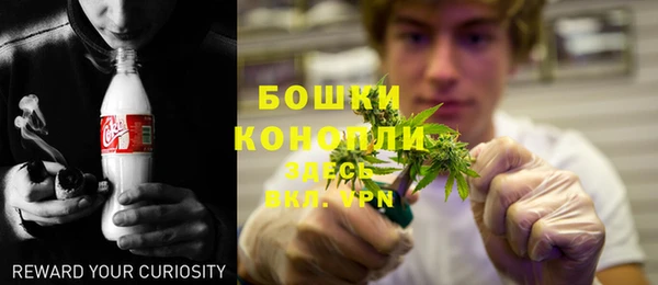 Альфа ПВП Бородино