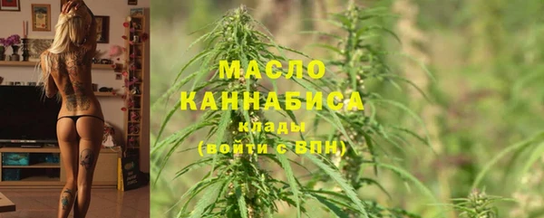 Альфа ПВП Бородино